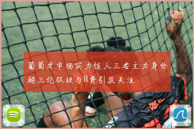 葡萄牙中场实力惊人三名主力身价超三亿双核与B费引发关注